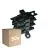 Multipack 50x Noxion GST - Compatible Distributor - 1 Male + 5 Female - 3 pole 1,5mm2