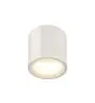 SLV Oculus Ceiling Light Aluminium White 11W 780lm 100D - 920-930 Dim To Warm | Best Colour Rendering - Dimmable 